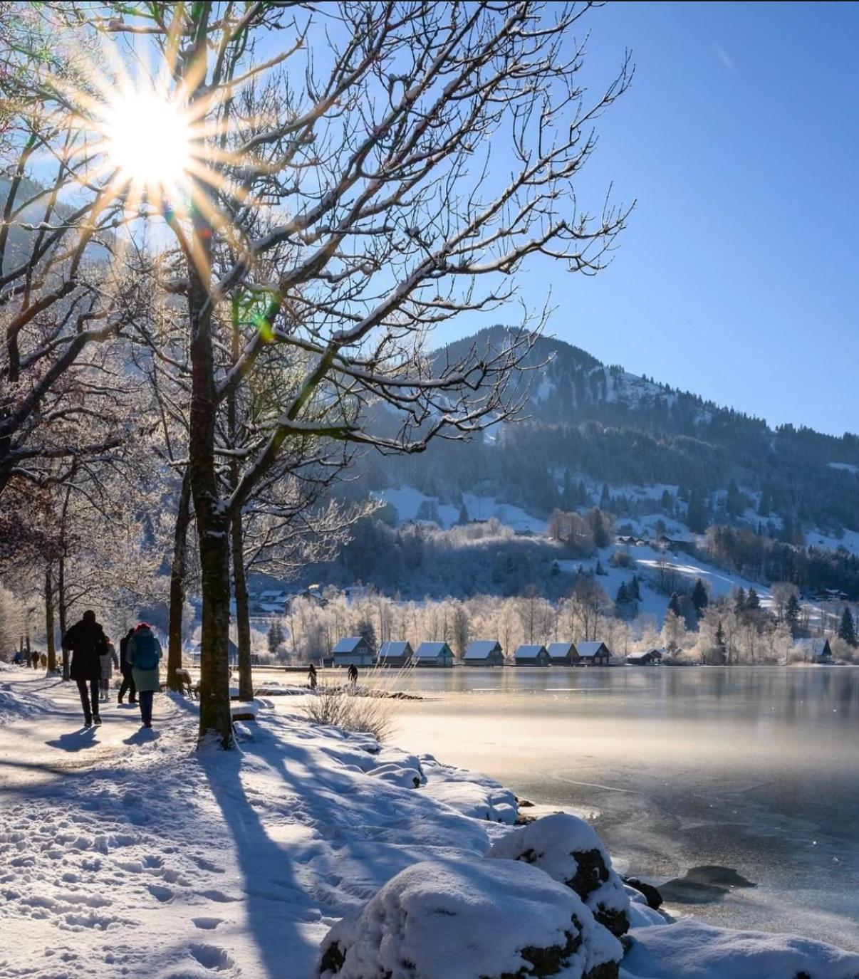 Ferienwohnung Immenstadt Im Allgaeu- Ruhig, Gemuetlich & 5Min Zum Alpsee 외부 사진